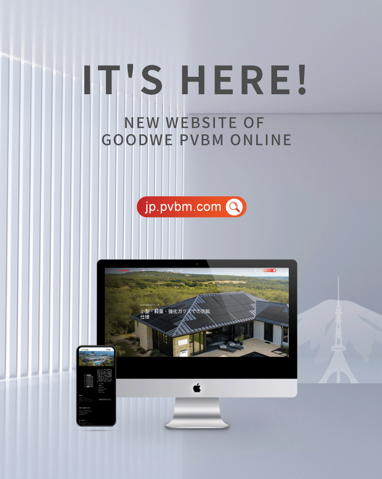 PVBM Japanese website launched